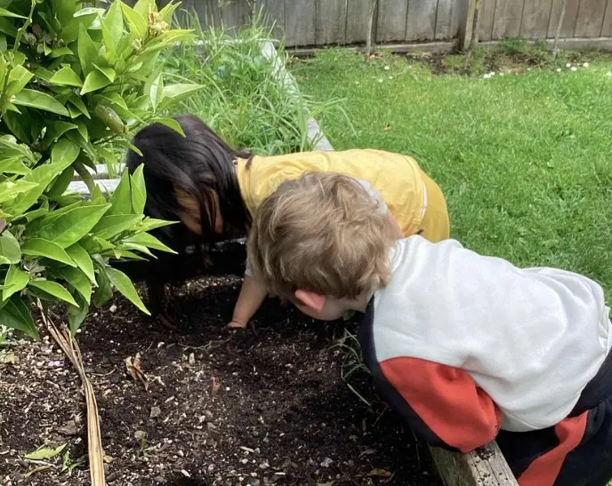 Children exploring the garden together