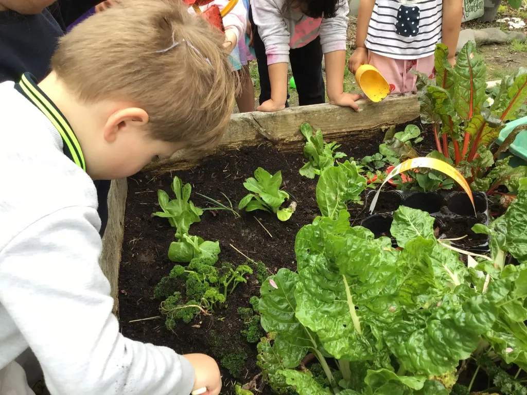 Children planting and exploring in the garden bed